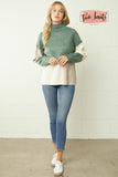 L/S Turtleneck Colorblock Sweater